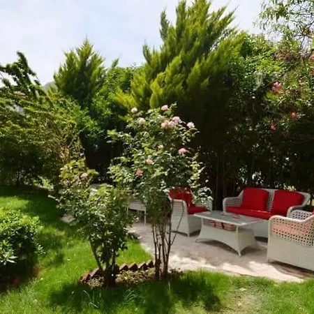 Mico Hotel Selimiye (Aegean)